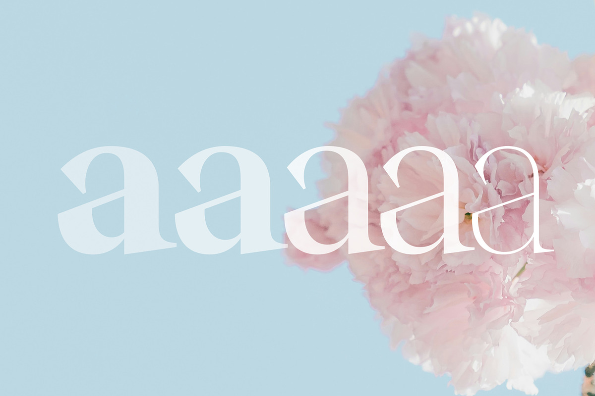 Stability, a Serif Font by OceaneM (Photo 3 of 7)