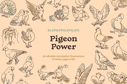 Pigeon vector illustrations, an Illustration by Hey Masha