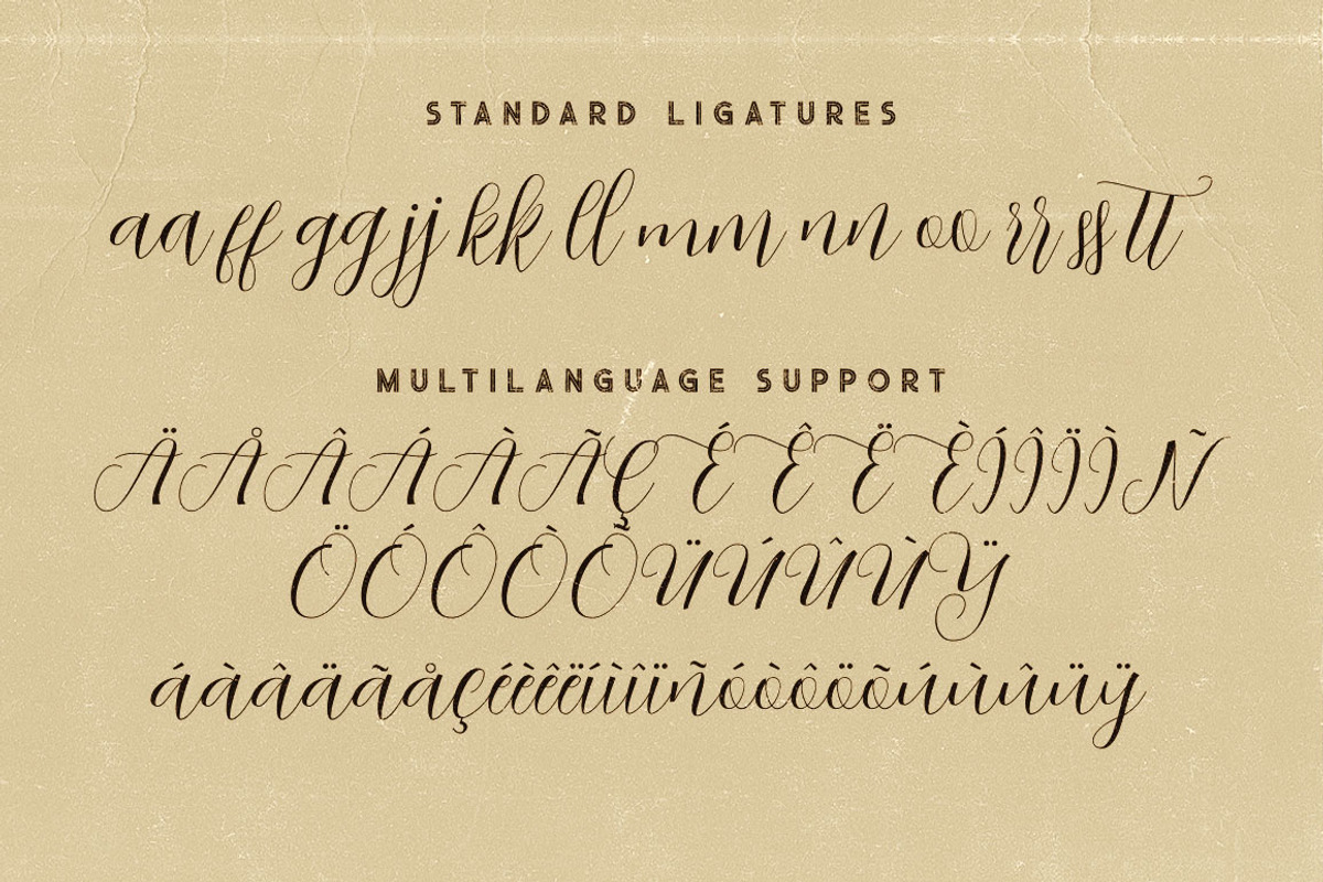 Abigaile Script Font preview 8