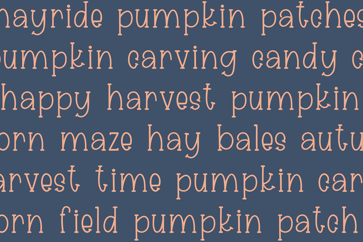 Harvest Hayride, Cute Serif Font, a Serif Font by Designing Digitals (Photo 4 of 7)