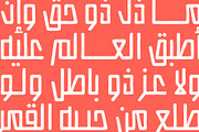 Istitalah - Arabic Font, a Script Font by Mostafa El Abasiry (Thumbnail 9 of 16)