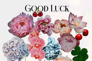 Good Luck. Collage Creator.