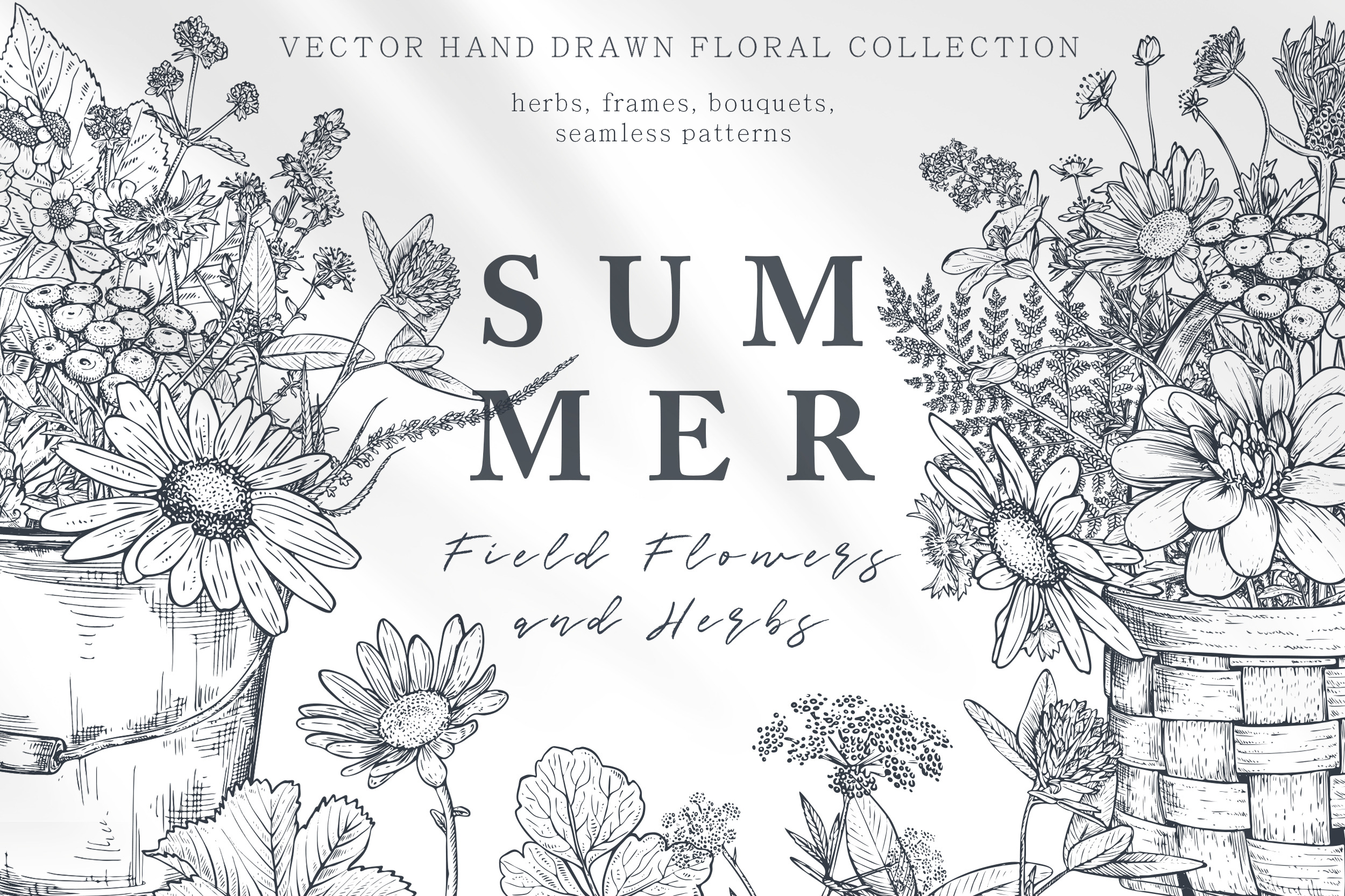 Summer fild flowers vector collection