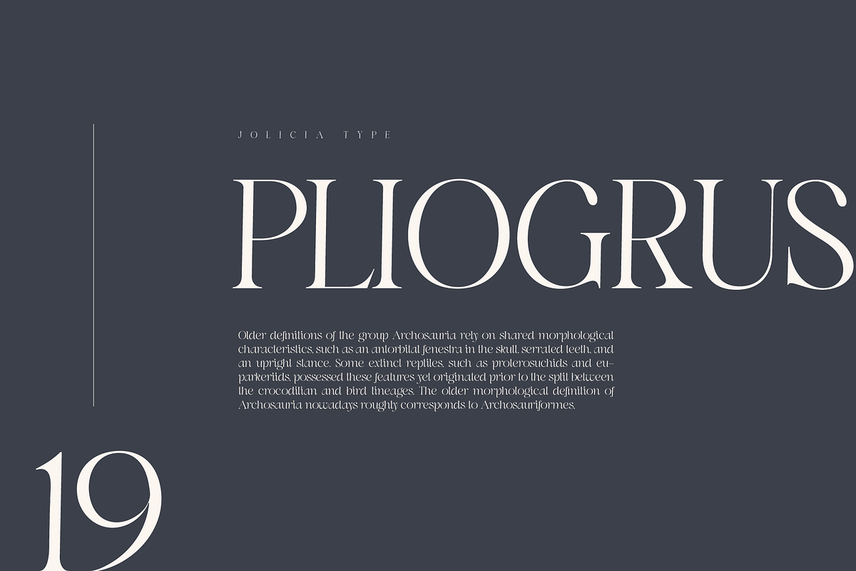 Swily Bright | Classy Font, a Serif Font by Jolicia Type (Photo 7 of 11)