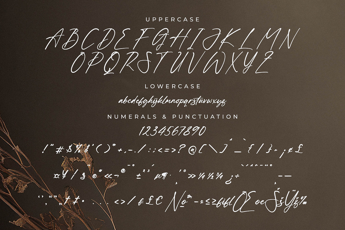 Hanfiye Guesterya Font Duo, a Serif Font by Storytype Studio (Photo 11 of 15)