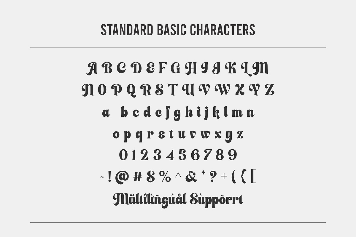 Smile Delight - Bright Display, a Serif Font by ErgibiStudio (Photo 12 of 12)