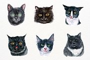 39 Realistic Watercolor Cat Portrait, an Animal Illustration by ArtbyHien (Thumbnail 8 of 8)