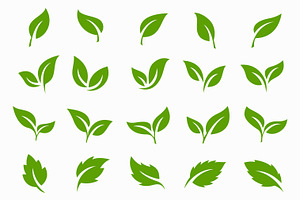 Leaf Logo & Botanical Collection, a Solid Icon by Signatoro