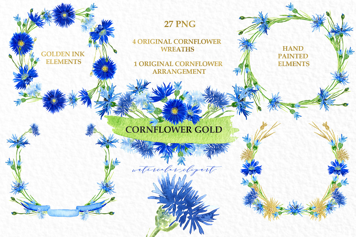 Cornflower gold. Watercolor clipart., an Illustration by LABFcreations (Photo 1 of 4)