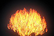 Burning bush, an Environmental 3D Model by AndrewWhite (Thumbnail 4 of 9)