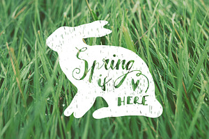 Spring Overlays