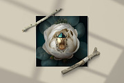 111 Animal Art Still Life Prints, a Background Graphic by YvY (Thumbnail 10 of 11)
