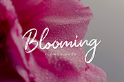 Orchide - Handwritten Brush Font, a Script Font by Almarkhatype (Thumbnail 7 of 9)