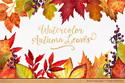 Watercolor Autumn Leaves Clipart, an Illustration by Amanda Ilkov (Thumbnail 1 of 3)
