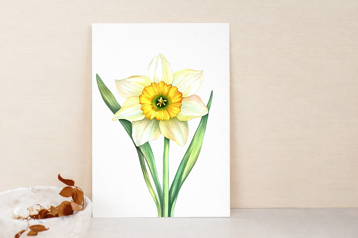 Watercolor Daffodils Clipart, an Illustration by Libby Wishes (Photo 2 of 7)