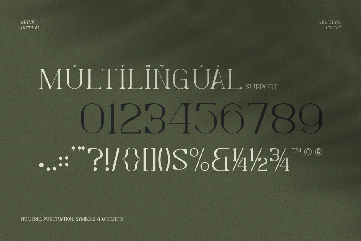 Levelly Luxury Premium Serif Font, a Serif Font by Artiveko (Photo 5 of 9)