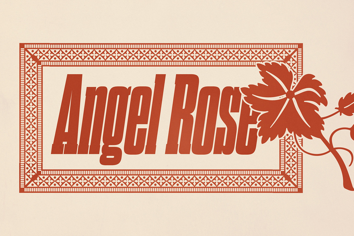 Dharma Slab, a Slab Serif Font by Dharma Type (Photo 4 of 10)