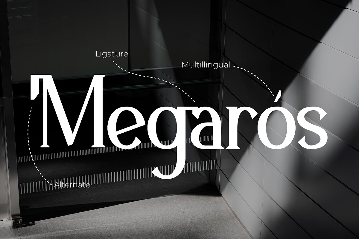 Nivoria -  Modern Serif Font, a Serif Font by Rishsketch (Photo 2 of 15)