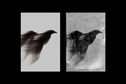 Antique Photo Effect, a Layer Style Add-On by Design Squad (Thumbnail 5 of 5)