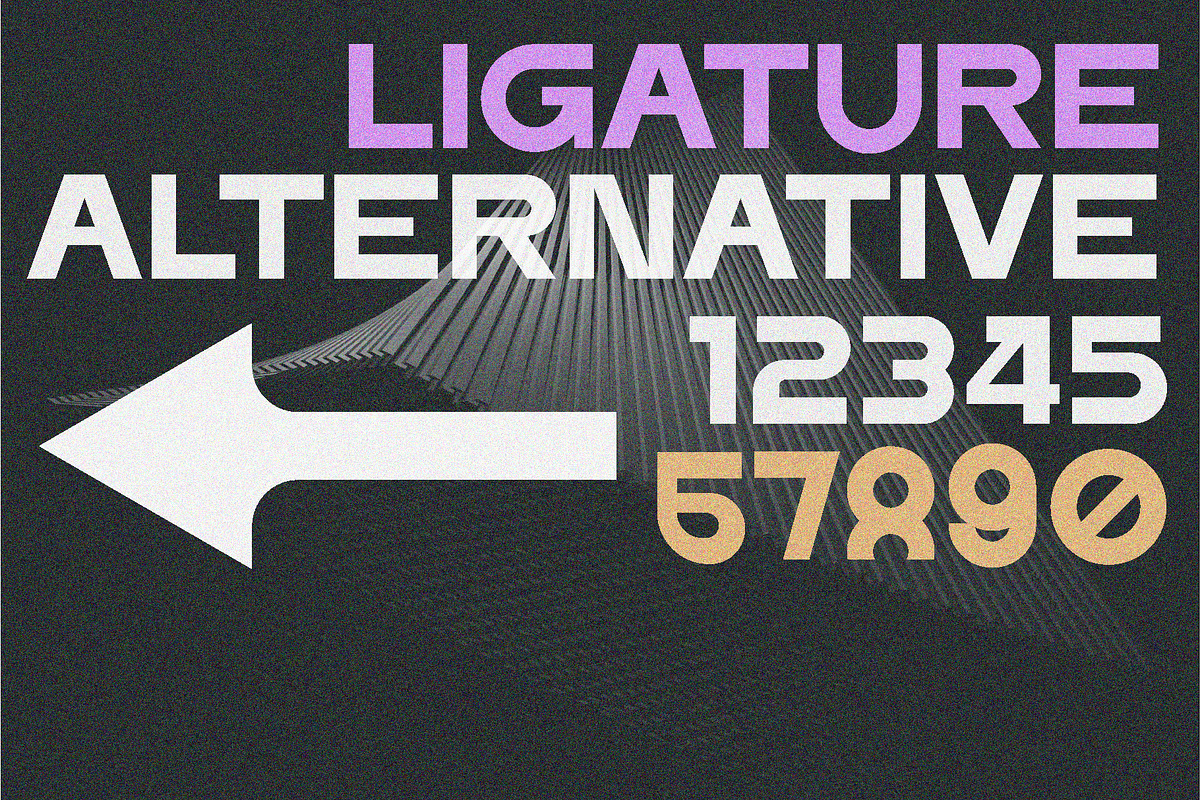 ERF Neot Complete 16 Family, a Sans Serif Font by Erifqizefont (Photo 13 of 30)