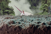 Hollow: Mystical Forest Collage Pack, an Object Graphic by Purple (Thumbnail 13 of 13)