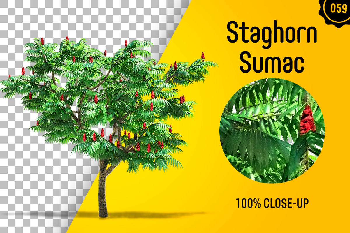 CUT OUT TREES - 60 PCS BUNDLE, a Packaging Mockup by 3DSTORE (Photo 60 of 63)