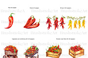 Chili Pepper Clipart, Red Pepper PNG, a Food Illustration by BrushstrokeArtGB (Thumbnail 6 of 9)
