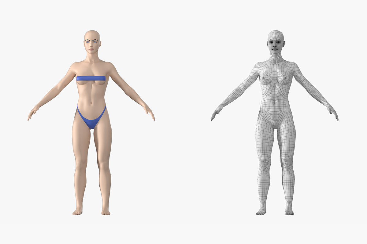 Natural Female 01 A-Pose Base Mesh, a Characters & Person 3D Model by VK Studio (Photo 3 of 26)