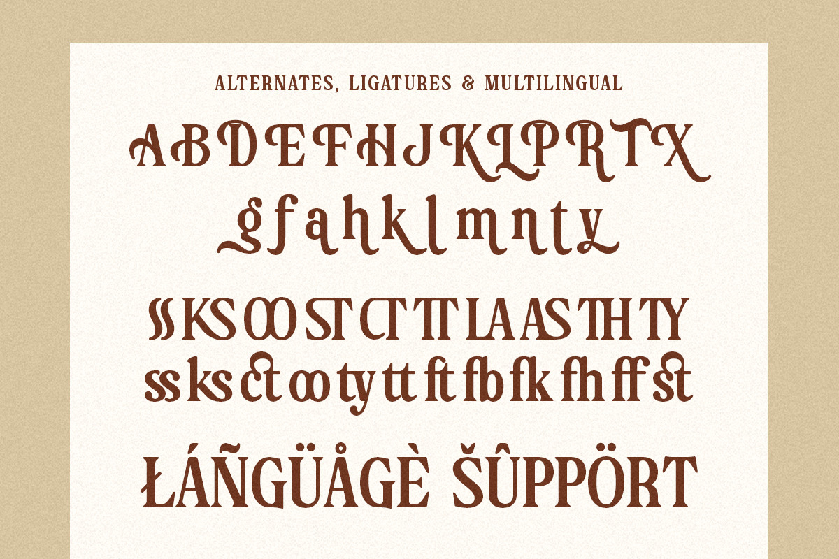 Charlotte Bestlooks – Vintage Serif, a Serif Font by Shakira Studio (Photo 10 of 10)