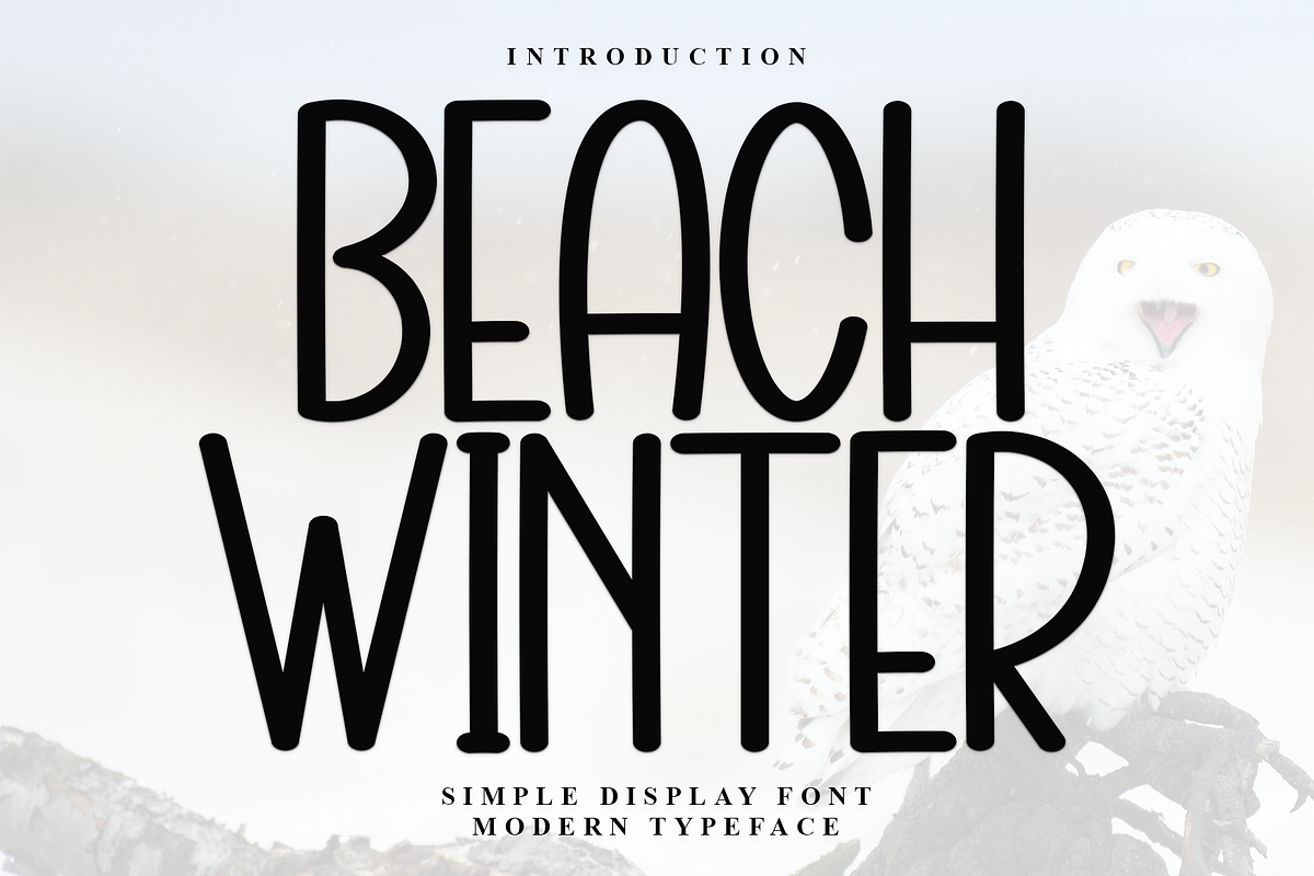 Beach Winter, a Serif Font by InermediaSTUDIO (Photo 1 of 7)