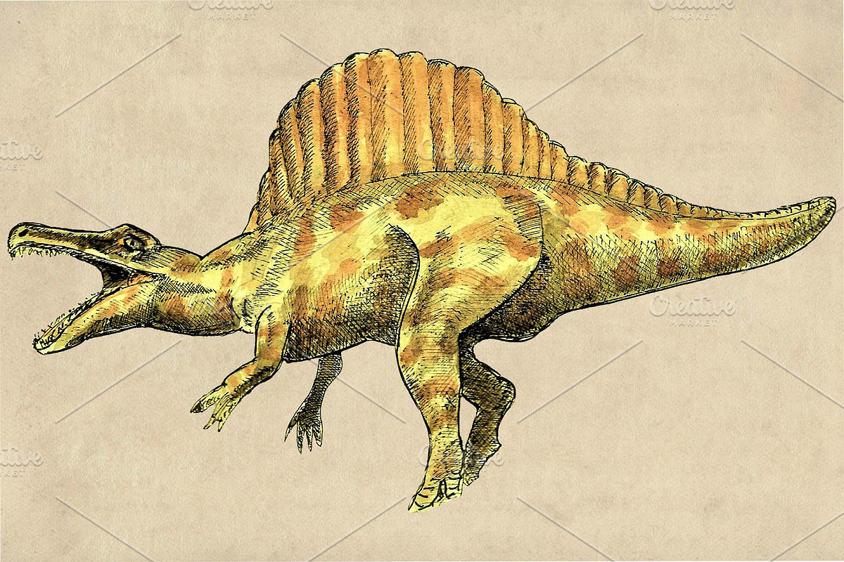 Dinosaurs Watercolor Pack Clipart #2, an Illustration by Doggy Days (Photo 5 of 7)