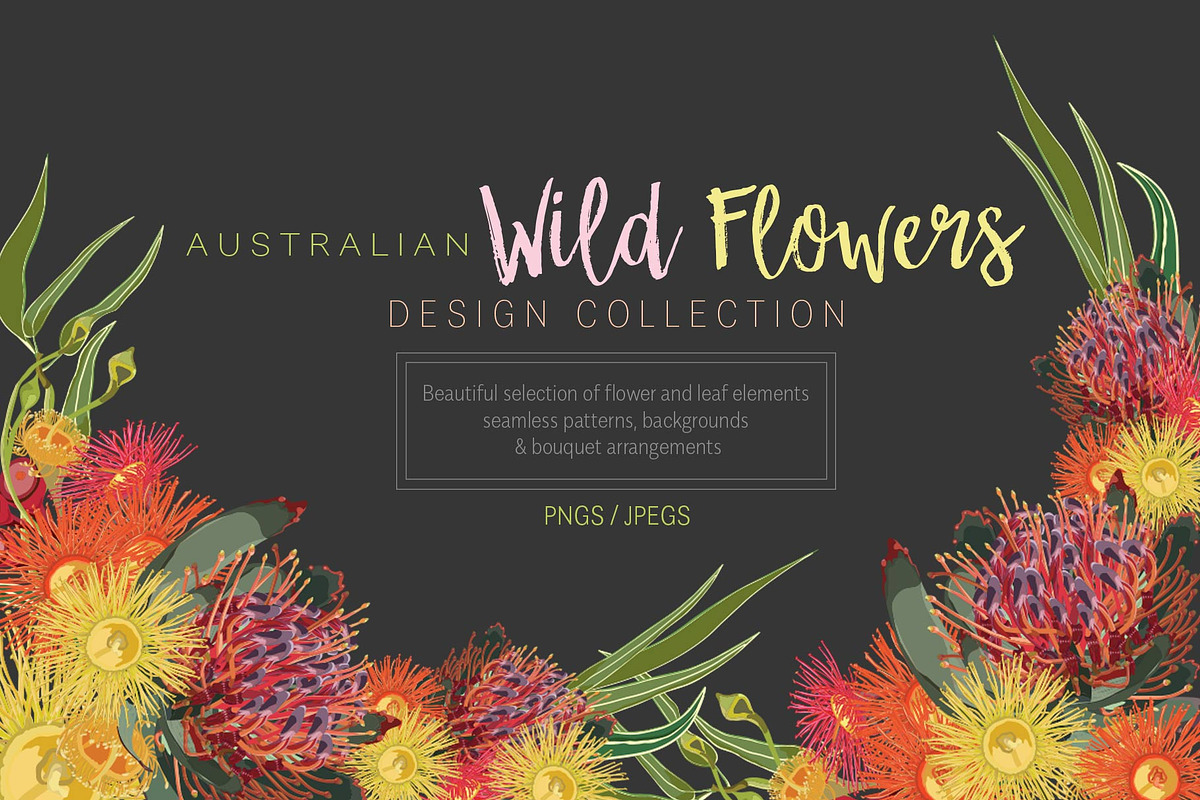 Australian Wild Flowers Collection, an Illustration by Sketchbook Designs (Photo 1 of 10)