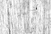 GSTC - Wood grain, a Texture Graphic by The Shop (Thumbnail 30 of 48)