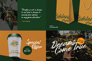 Expresive Brush Font Bundle