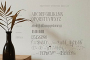 Heafthery Notespage Serif Font, a Serif Font by Storytype Studio (Thumbnail 13 of 15)