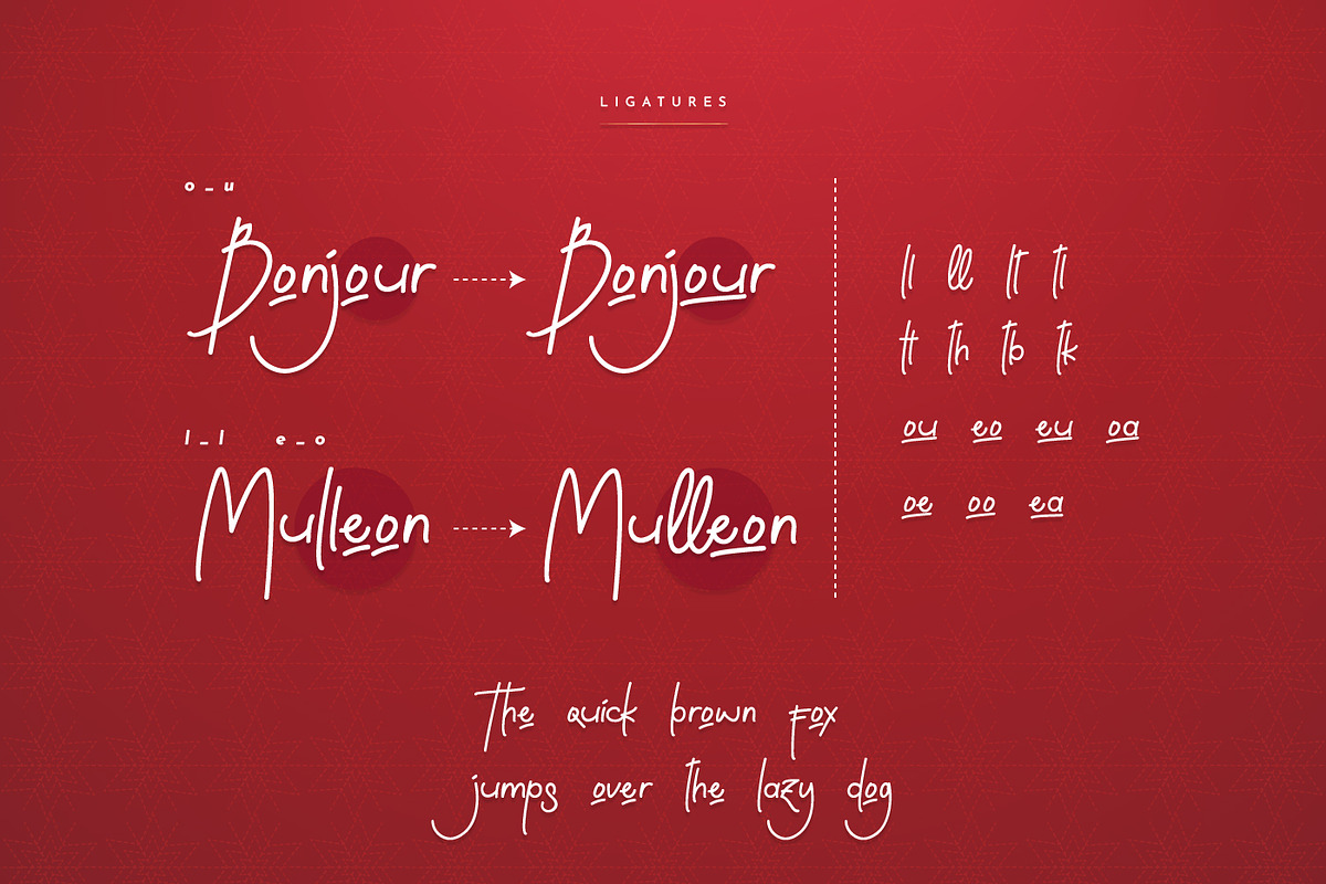 Roullette Handwritten Script Font, a Script Font by infernostudio3 (Photo 8 of 11)