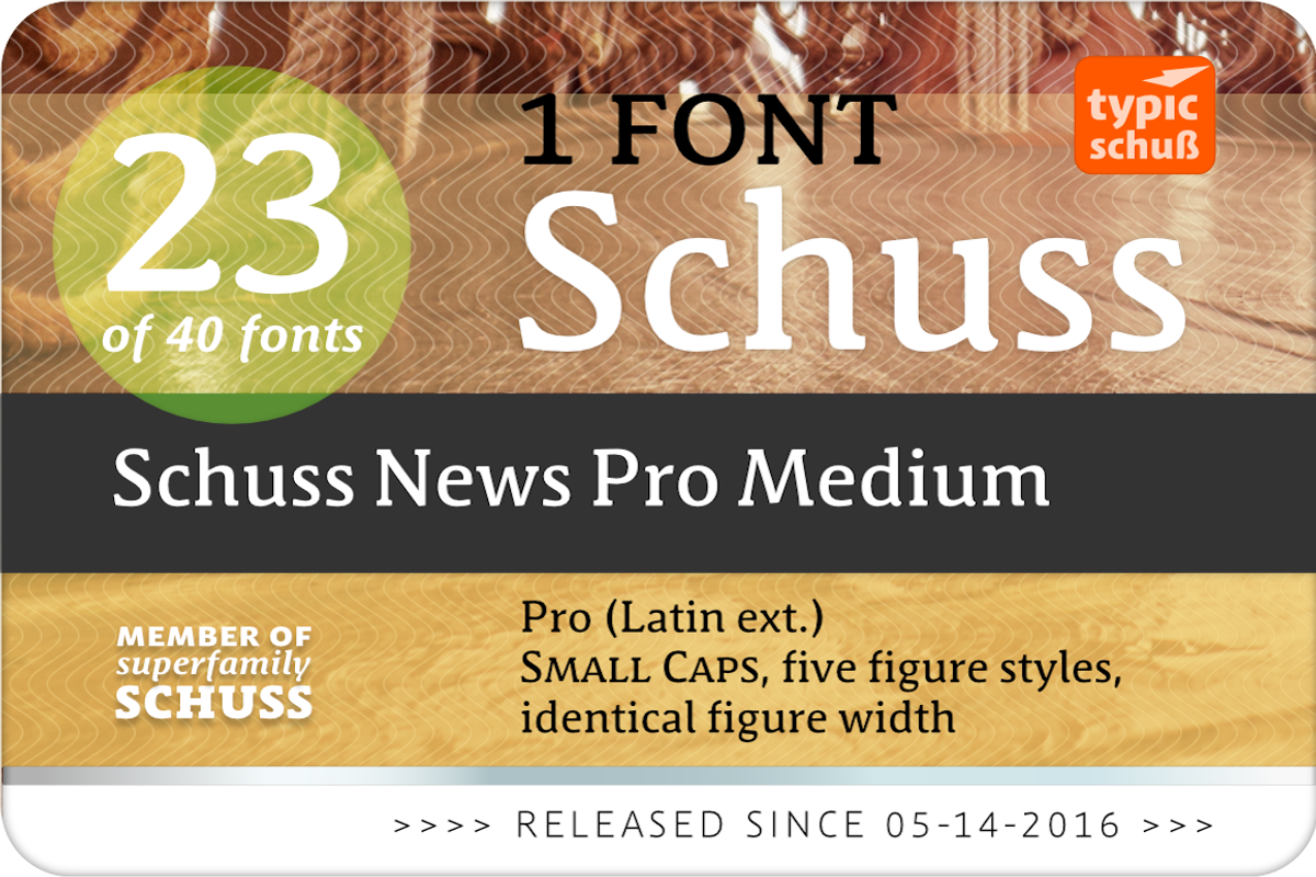 SchussNewsProMedium No.23 (1 Font) preview 2
