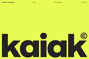 Moderna Grotesque, a Sans Serif Font by Latinotype (Thumbnail 3 of 14)
