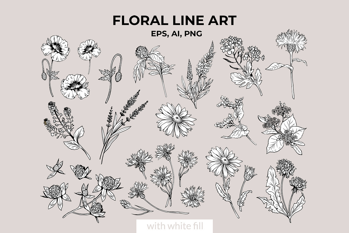 Flowers Line Art. Floral Clipart, a Decorative Illustration by ilonitta (Photo 3 of 11)