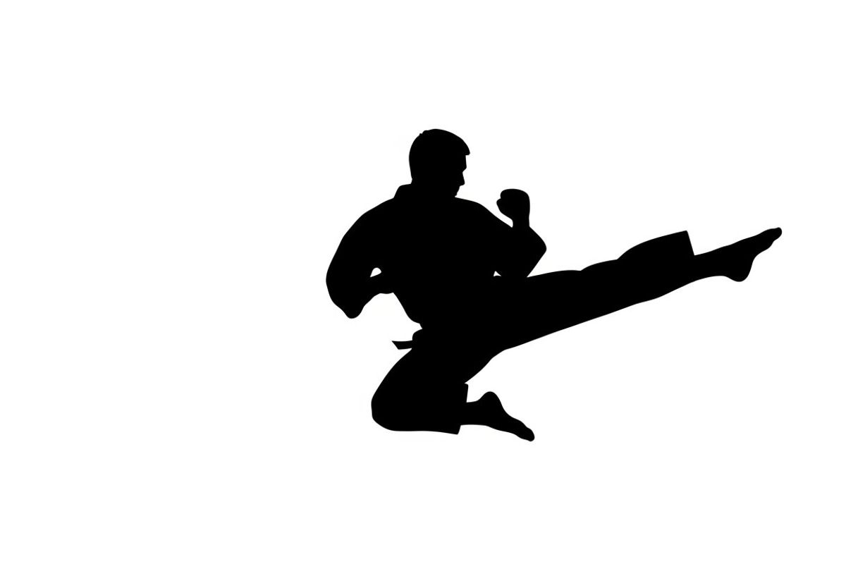 Dynamic martial arts kick silhouette, an Illustration by Amazin_art (Photo 24 of 36)
