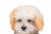 Dogs Cross Breeds 56 Animals Bundle, an Animal Illustration by Dneprstock (Thumbnail 30 of 55)