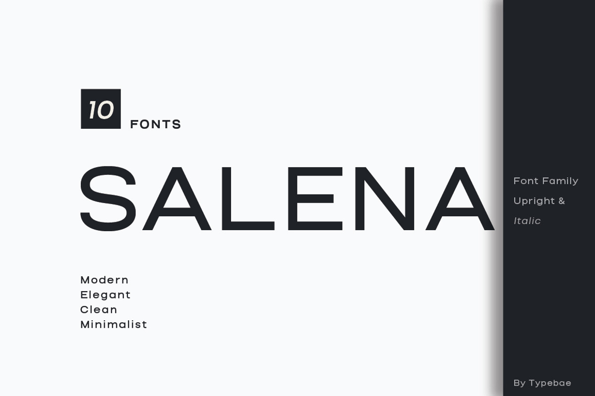Salena – Minimalist Sans, a Sans Serif Font by Typebae (Photo 1 of 12)