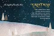 Legend of Christmas, a Serif Font by Larin Type Co. (Thumbnail 12 of 15)