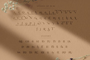 Abigral - Minimal Sans, a Sans Serif Font by Arterfak Project (Thumbnail 10 of 14)