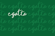 Egatta Script Font, a Script Font by Artiveko (Thumbnail 9 of 10)