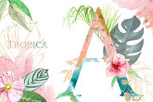 Tropical Watercolor Alphabet Letter