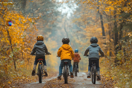 Cycling, hiking, and forest walks, a Photo by Pavel_design