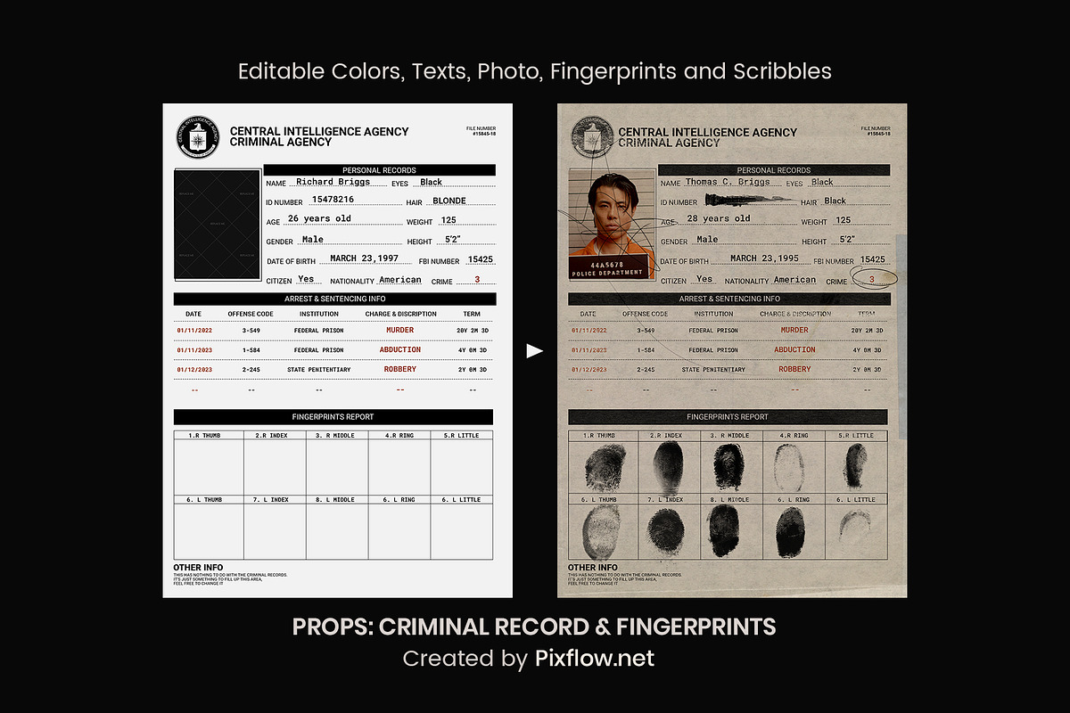 Criminal Record & Fingerprints, a Graphic by Pixflow (Photo 4 of 9)