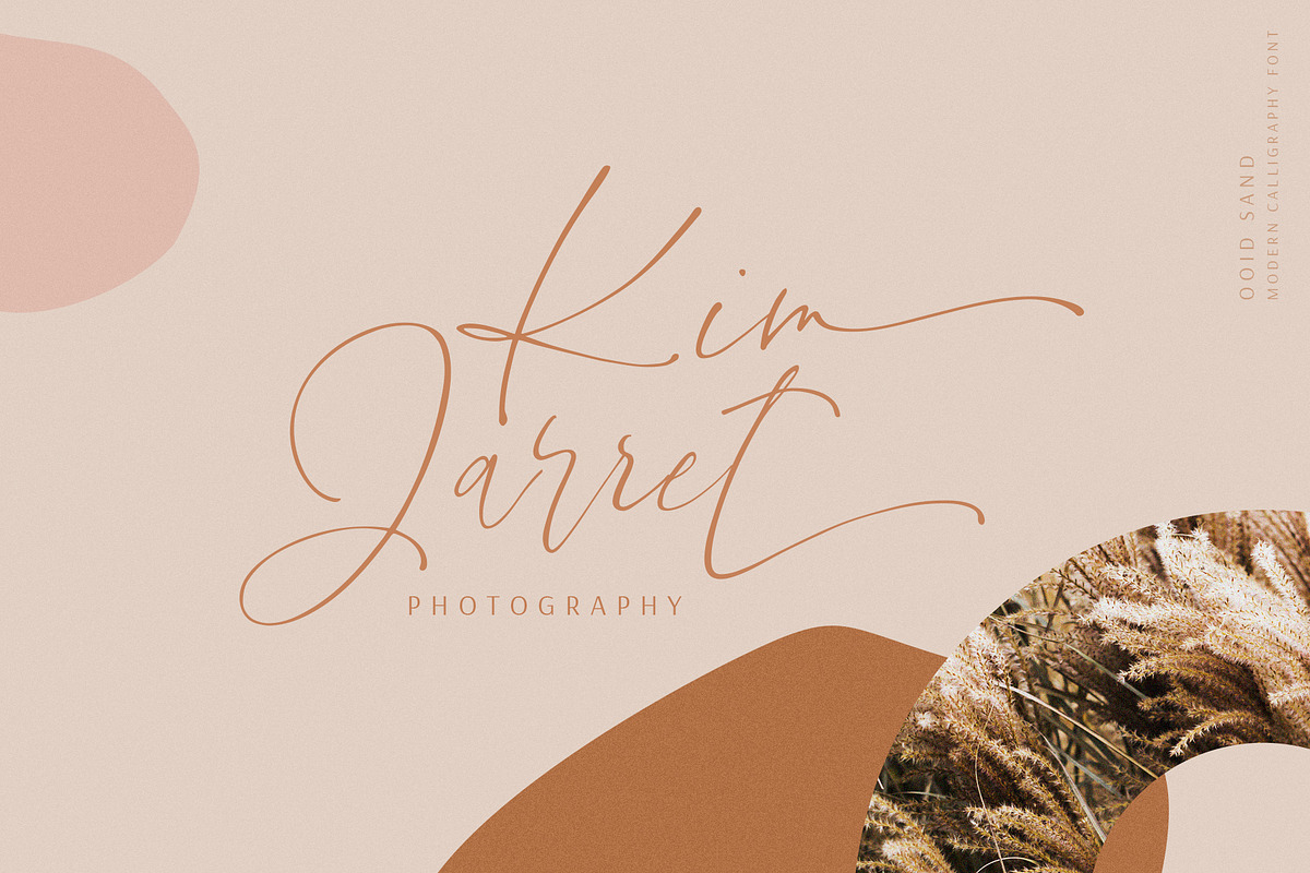 Ooid Sand Calligraphy Script Font preview 2