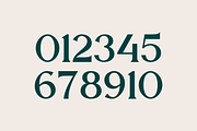 Miracle Display, a Serif Font by RockboyStd (Thumbnail 9 of 12)